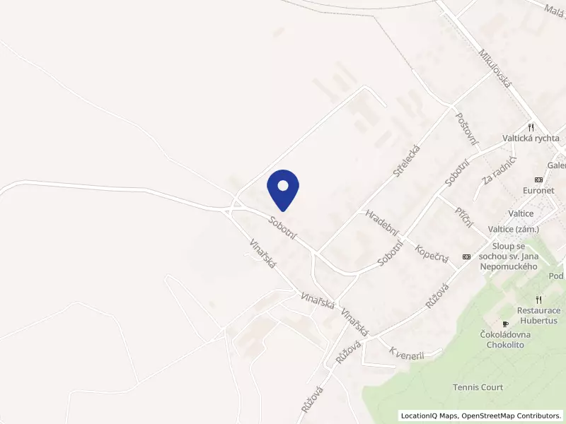 Národní vinařské centrum, o.p.s., Valtice, Sobotní 1029, 69142 Valtice - Valtice, IČO 26284391