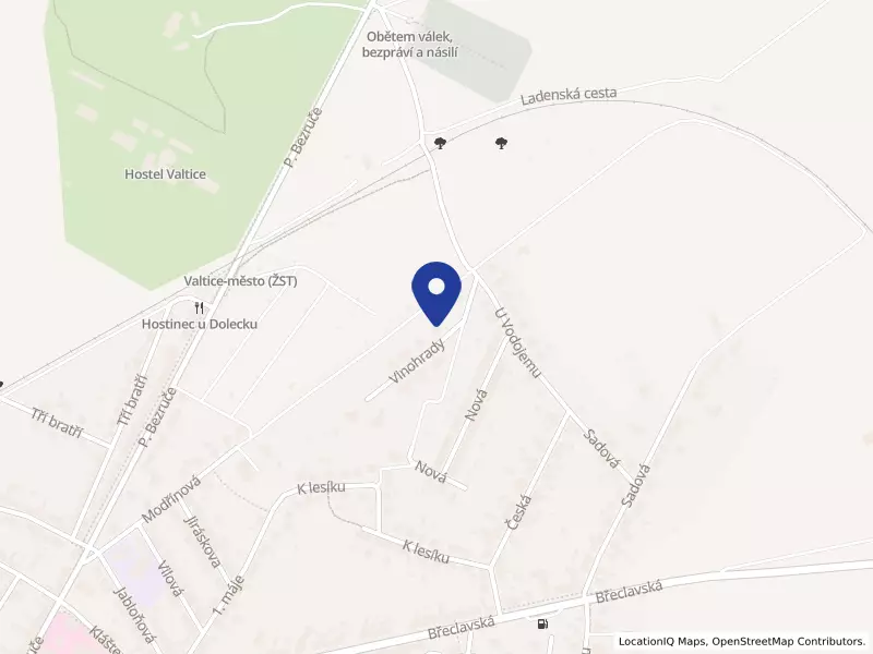Bylinková akademie, s.r.o., Vinohrady 1039, 69142 Valtice - Valtice, IČO 03375650