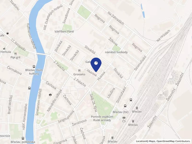 Riess Optik, s.r.o., Husova 3015/1b, 69002 Břeclav - Břeclav, IČO 08991391