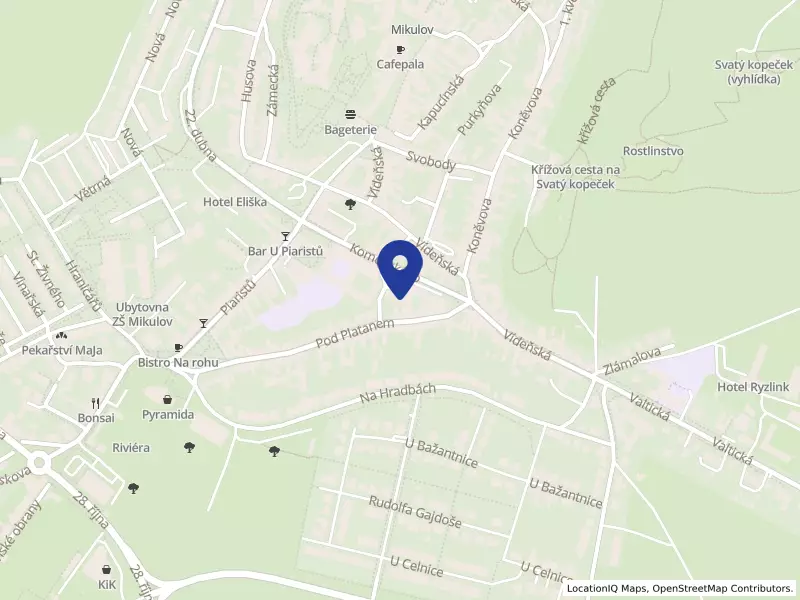 DPF Service s.r.o., Purkyňova 266/12, 69201 Mikulov - Mikulov, IČO 04580273