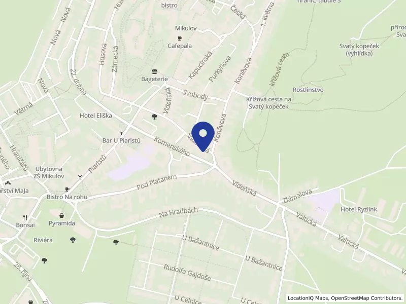 Víno Bellvery s.r.o., Vídeňská 256/20, 69201 Mikulov - Mikulov, IČO 02136511