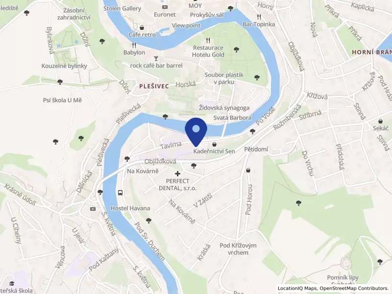 Střední odborná škola zdravotnická a Střední odborné učiliště, Český Krumlov, Tavírna 342, Tavírna 342, 38101 Český Krumlov - Horní Brána, IČO 60821221