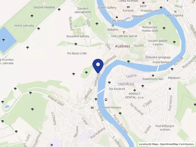 DENTAL SMILE s.r.o., Plešivecká 130, 38101 Český Krumlov - Plešivec, IČO 28159845