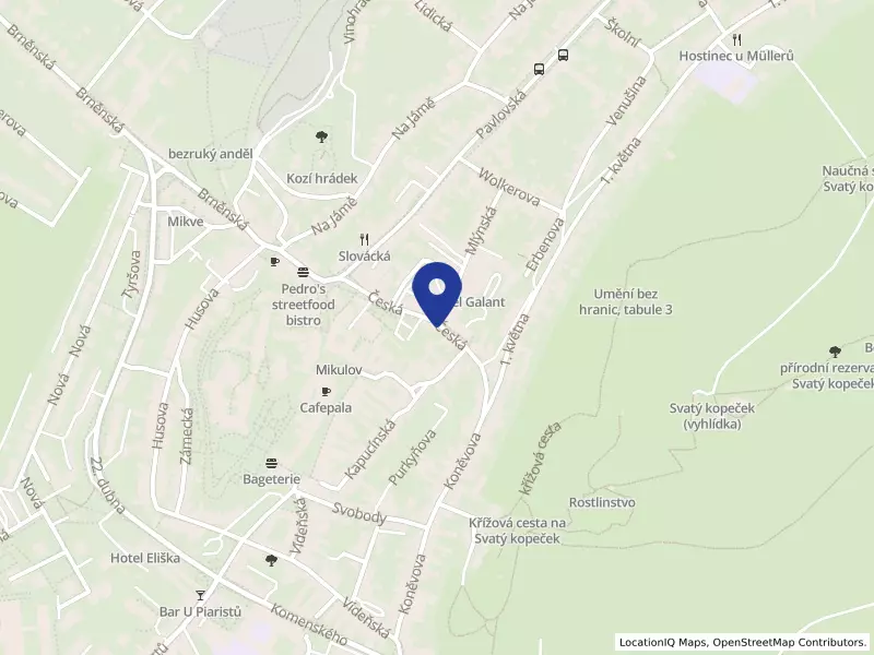 Saeli Resort, s.r.o., Česká 168/14, 69201 Mikulov - Mikulov, IČO 08065918