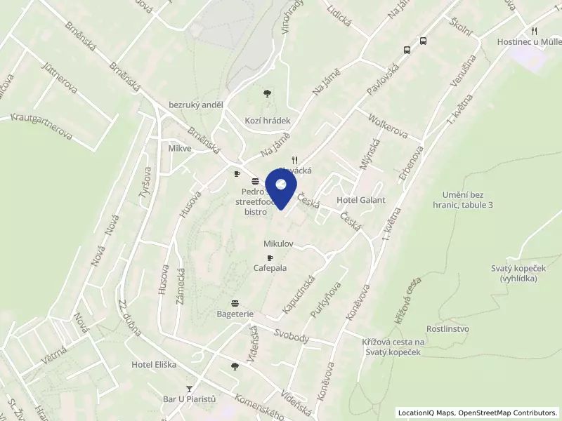 Jednota, spotřební družstvo v Mikulově, Kostelní nám. 157/9, 69201 Mikulov - Mikulov, IČO 00032247