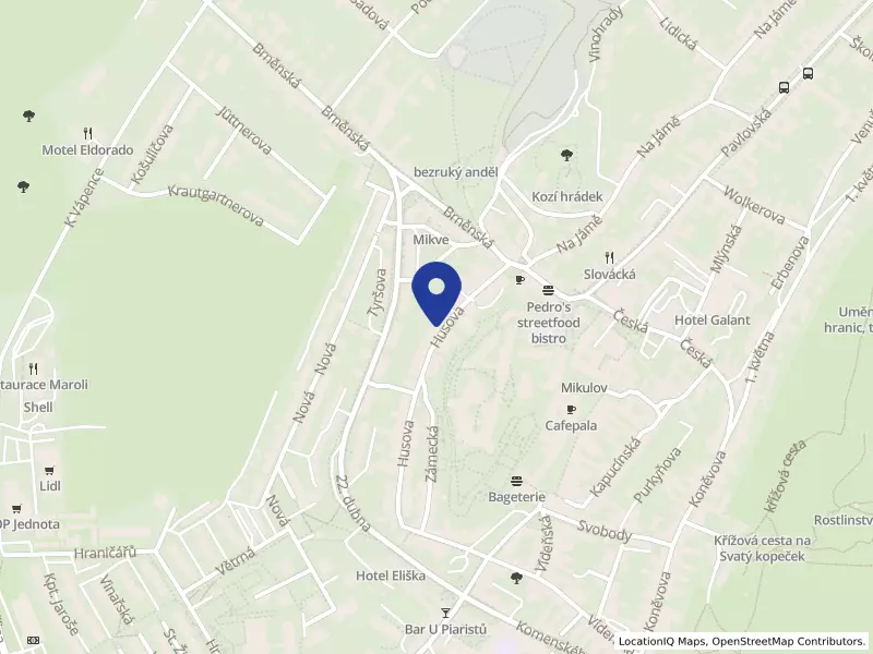 Boutique hotel Mikulov s.r.o., Husova 85/14, 69201 Mikulov - Mikulov, IČO 29278015