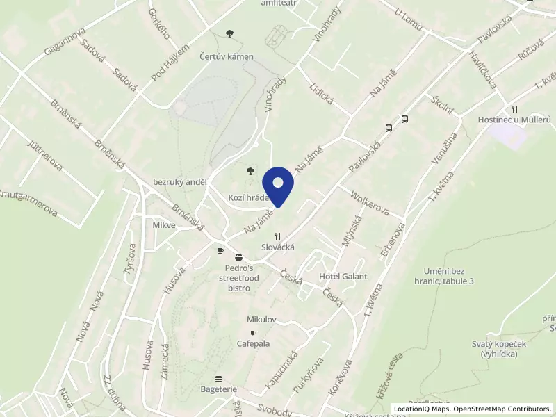 Green plus s.r.o., Na Jámě 102/10, 69201 Mikulov - Mikulov, IČO 27746283