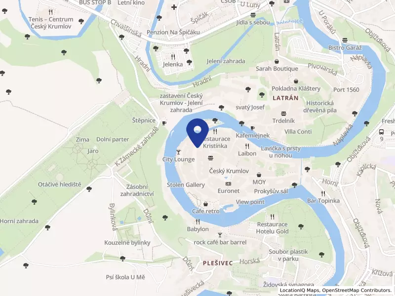 Světlý dům plus s.r.o., Široká 47, 38101 Český Krumlov - Vnitřní Město, IČO 27999742