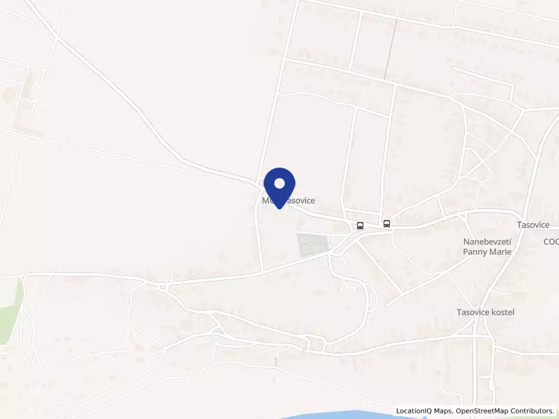 PALATINE s.r.o., 144, 67125 Tasovice - Tasovice, IČO 27736130