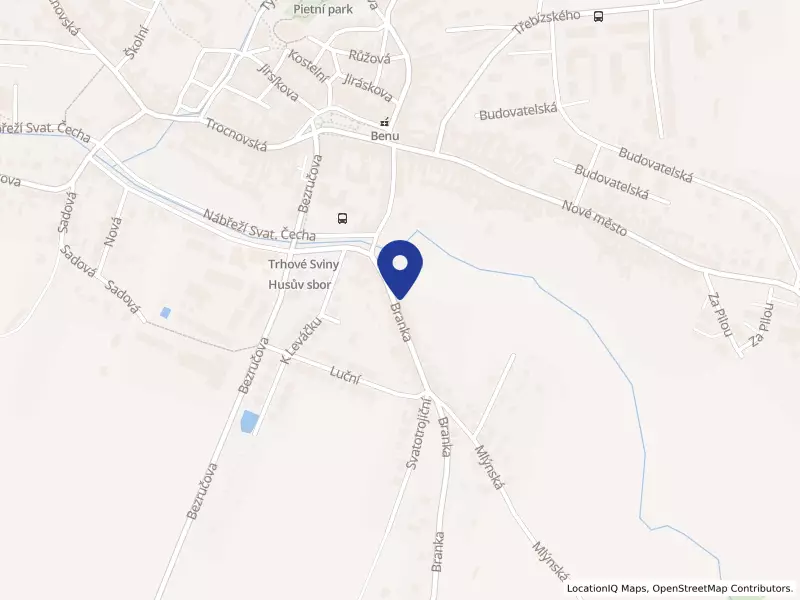 Domeček-středisko Husitské diakonie, Branka 588, 37401 Trhové Sviny - Trhové Sviny, IČO 73632805