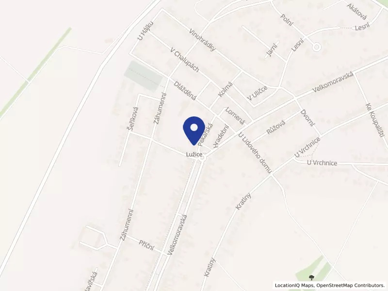 VÍNO ŠENK s.r.o. - v likvidaci, Pekařská 50/16, 69618 Lužice - Lužice, IČO 06157572