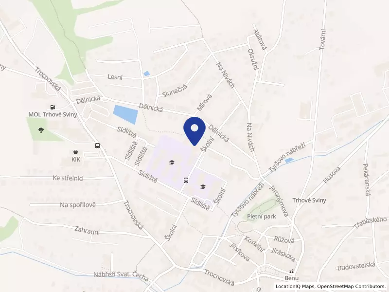 Gymnázium, Trhové Sviny, Školní 995, Trhové Sviny, Školní 995, 37401 Trhové Sviny - Trhové Sviny, IČO 62534408