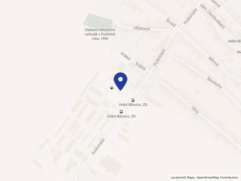 MOTORSERVIS-DOPRAVA, s.r.o., Velké Bílovice, Podivínská 1236, 69102 Velké Bílovice - Velké Bílovice, IČO 48908070