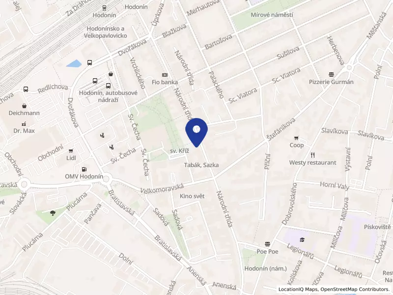 VIJOLE NIKA s.r.o., Národní třída 366/37, 69501 Hodonín - Hodonín, IČO 05733227