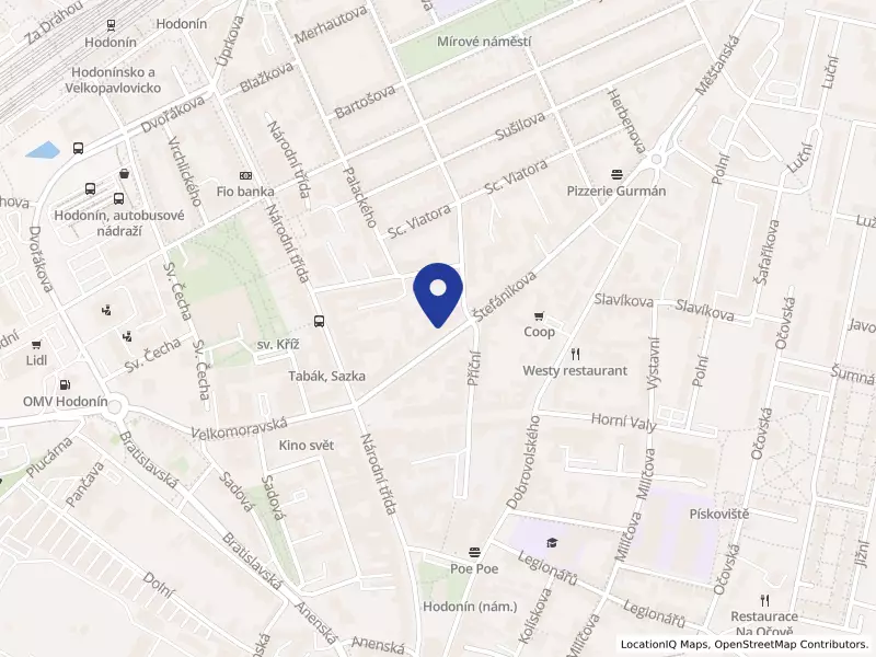 Centrum pro rodinu a sociální péči Hodonín, z.s., Štefánikova 288/15, 69501 Hodonín - Hodonín, IČO 69722595