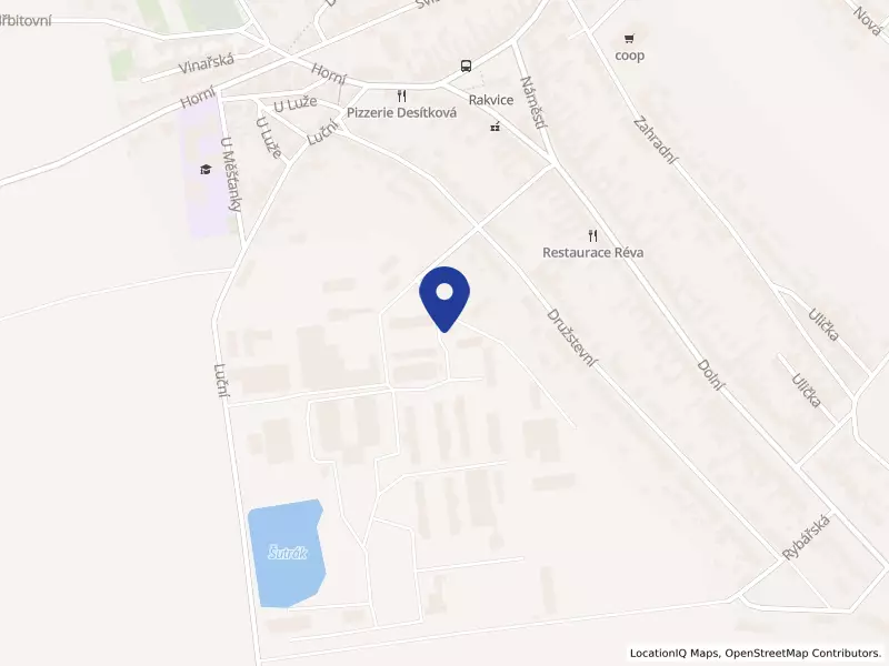 DOMINANT RAKVICE s.r.o., Rakvice, Družstevní 884, 69103 Rakvice - Rakvice, IČO 29320852