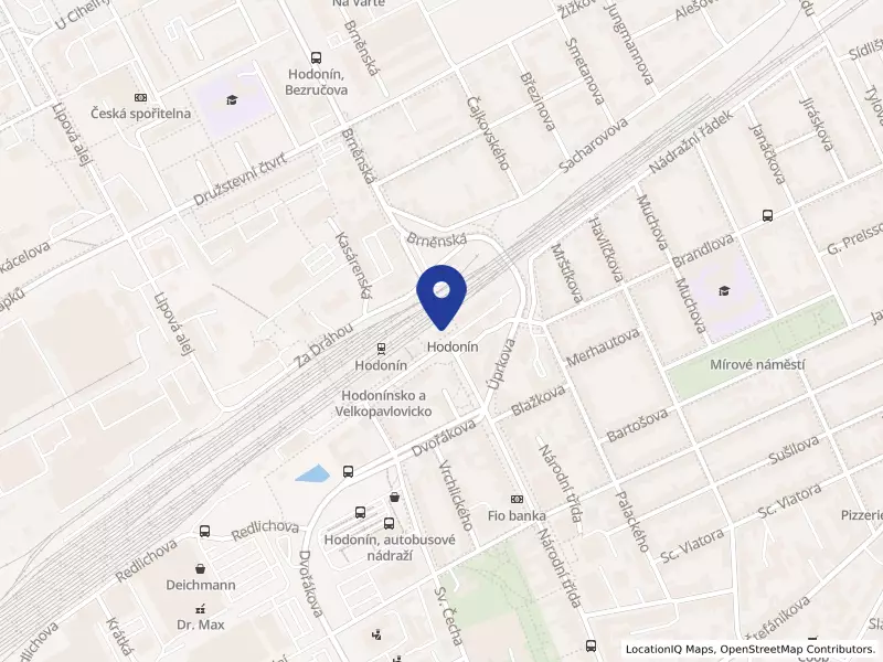 EVA food s.r.o., Wilsonova 4014/5, 69501 Hodonín - Hodonín, IČO 06194508