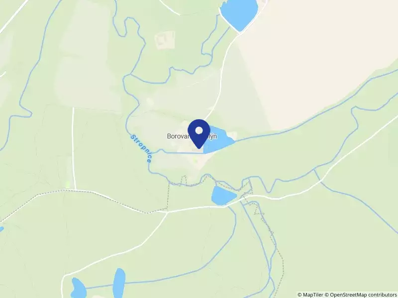 Borovanský mlýn s.r.o., Trocnovská 112, 37312 Borovany - Borovany, IČO 26114275