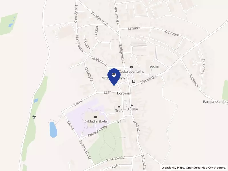 Základní umělecká škola Borovany, Žižkovo nám. 20, 37312 Borovany - Borovany, IČO 70504059