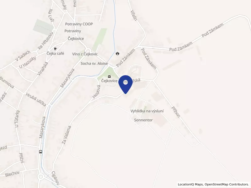Templářské sklepy Čejkovice, vinařské družstvo, Čejkovice, Na Bařině 945, 69615 Čejkovice - Čejkovice, IČO 45475148