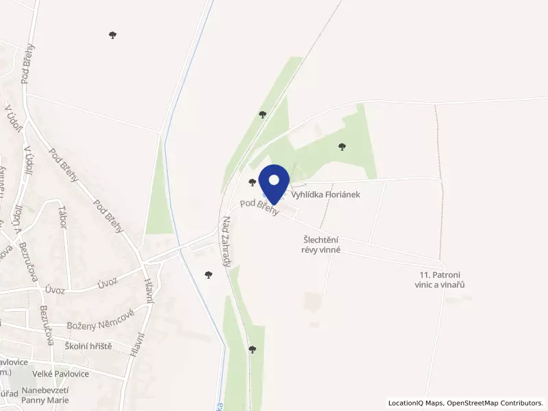 Šlechtitelská stanice vinařská Velké Pavlovice, a.s., Pod Břehy 565/54, 69106 Velké Pavlovice - Velké Pavlovice, IČO 60717670