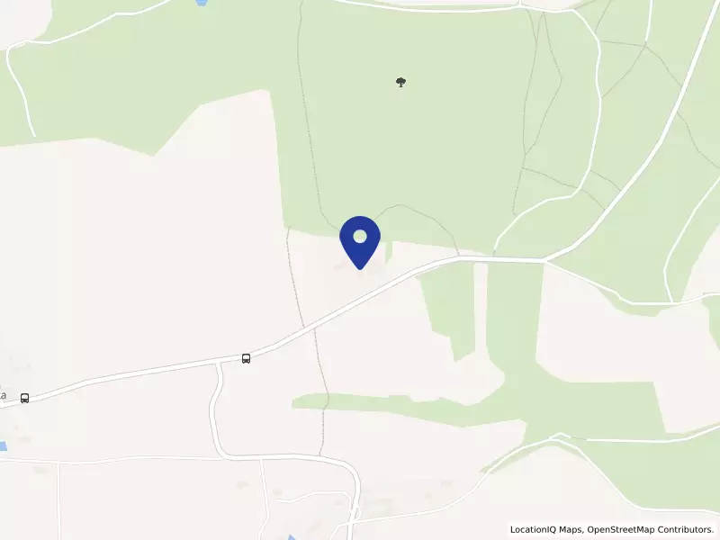 TIDY forest s.r.o., 17, 37001 Boršov nad Vltavou - Zahorčice, IČO 11667834