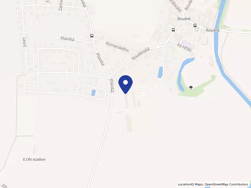 Zonepi s.r.o., Plavská 490, 37007 Roudné - Roudné, IČO 08139105