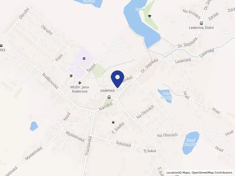 Základní škola, základní umělecká škola a mateřská škola Ledenice, Náměstí 88, 37311 Ledenice - Ledenice, IČO 62537547