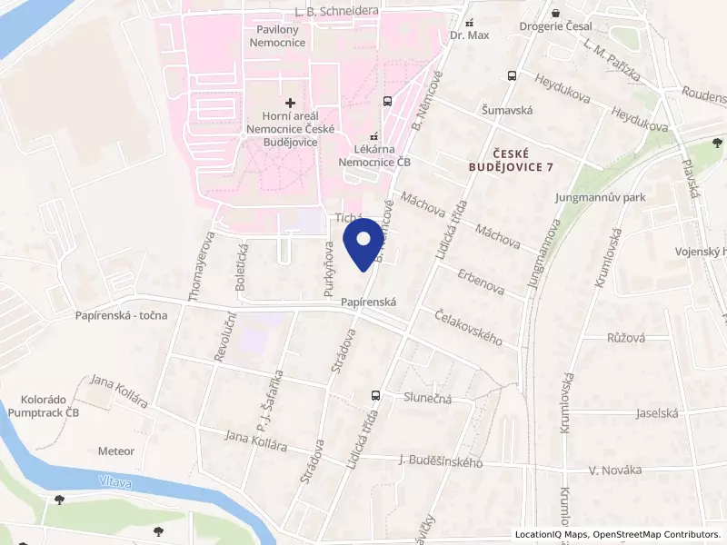Soukromá základní škola a mateřská škola Viva Bambini s.r.o., B. Němcové 752/74, 37001 České Budějovice - České Budějovice 7, IČO 28133447