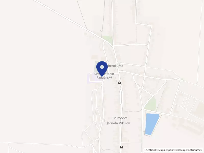 Základní škola a Mateřská škola Brumovice,okres Břeclav,příspěvková organizace, 140, 69111 Brumovice - Brumovice, IČO 70436479