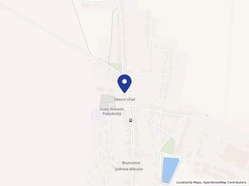 Obec Brumovice, 155, 69111 Brumovice - Brumovice, IČO 00042188