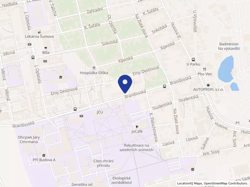 Sportovní klub Pedagog České Budějovice z. s., Branišovská 581/36, 37005 České Budějovice - České Budějovice 2, IČO 48208884