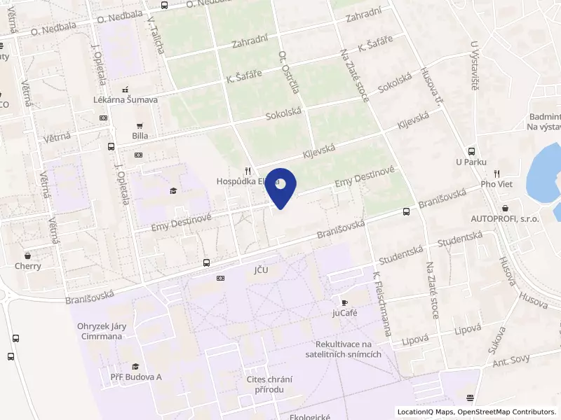 VAKANTIS střední škola a  vyšší odborná škola s.r.o., Emy Destinové 395, 37005 České Budějovice - České Budějovice 2, IČO 25157426