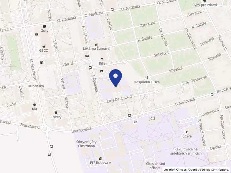 Základní škola a Mateřská škola, Emy Destinové 46, České Budějovice, Emy Destinové 1138/46, 37005 České Budějovice - České Budějovice 2, IČO 04677773