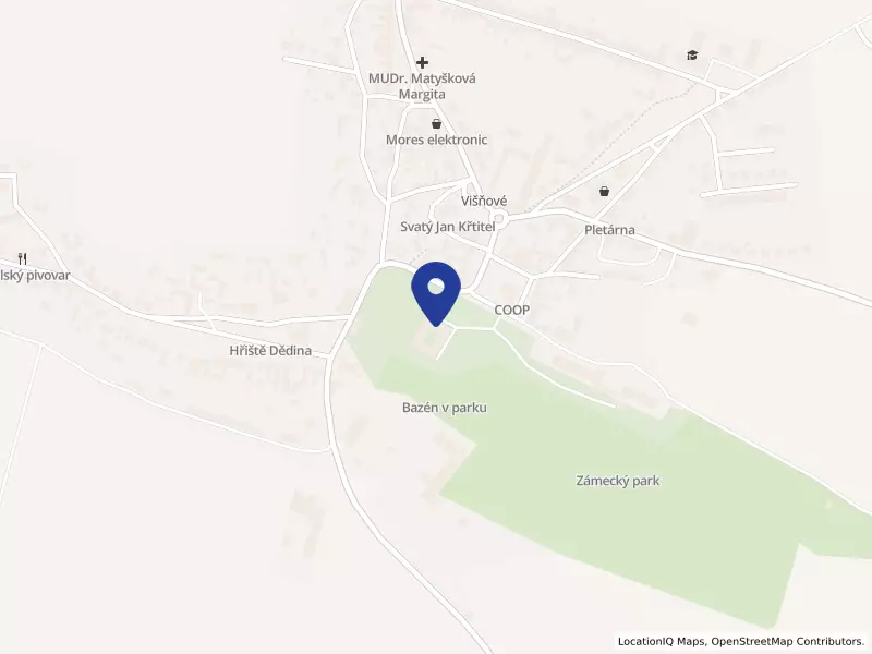 Výchovný ústav, střední škola a školní jidelna Višňové, Zámek 1, 1, 67138 Višňové - Višňové, IČO 49438921
