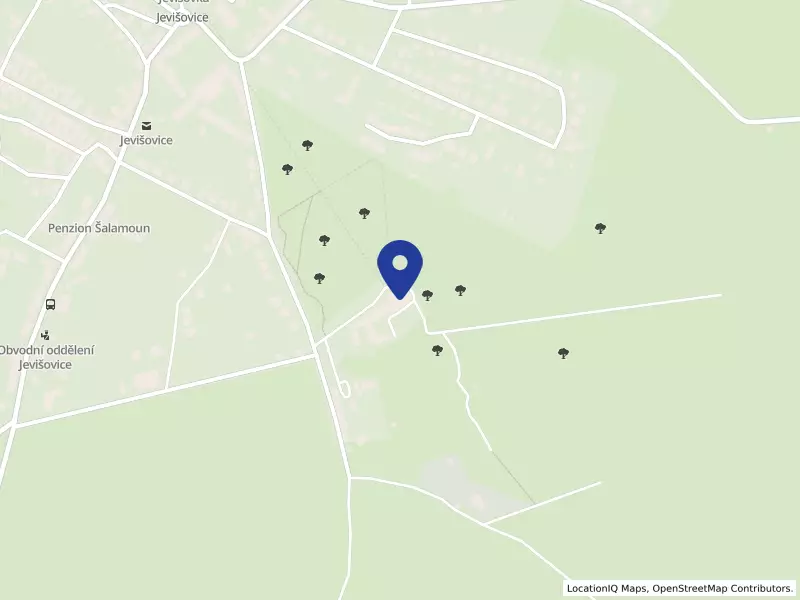 Domov pro seniory Jevišovice, příspěvková organizace, 104, 67153 Jevišovice - Jevišovice, IČO 45671711