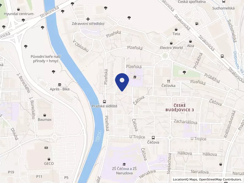 SPRÁVA DOMŮ s.r.o., Čéčova 2248/44, 37004 České Budějovice - České Budějovice 3, IČO 25157337