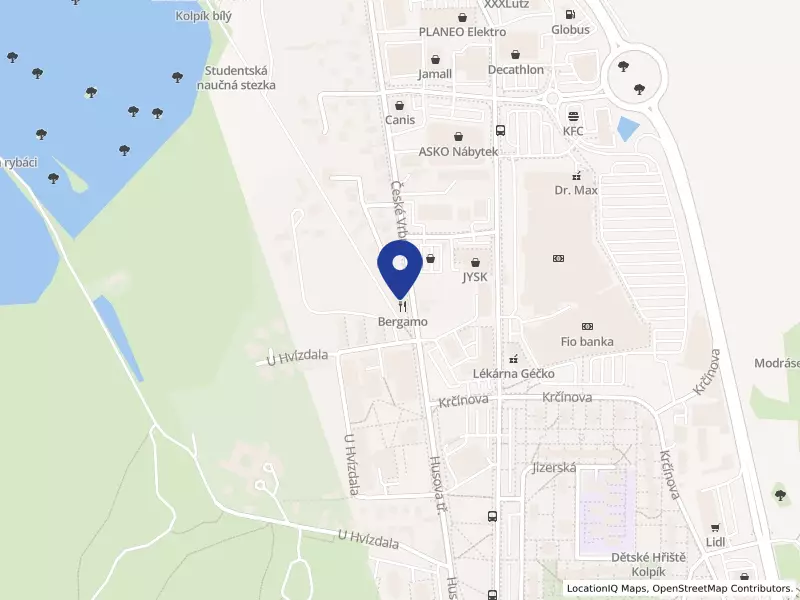 Bergamo 1994 s.r.o., České Vrbné 1994, 37011 České Budějovice - České Budějovice 2, IČO 17191092