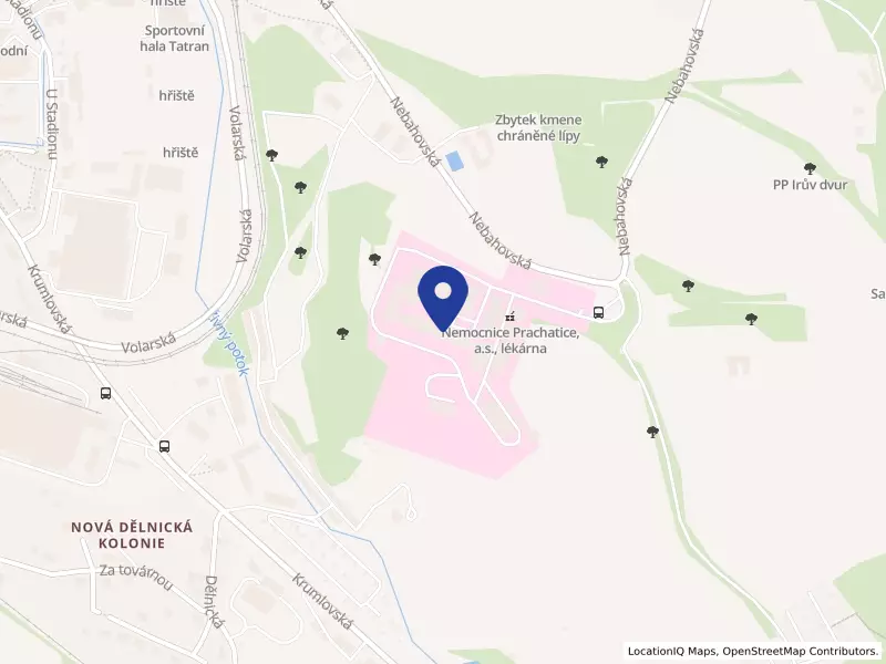 Nemocnice Prachatice, a.s., Nebahovská 1015, 38301 Prachatice - Prachatice II, IČO 26095165