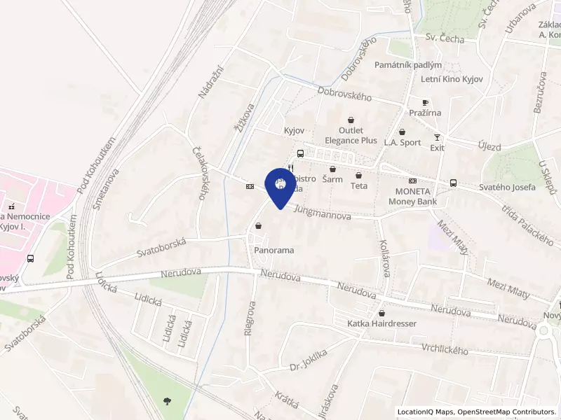 Výrobna lahůdek Spurná,s.r.o., Kyjov, Jungmannova 210/39, 69701 Kyjov - Kyjov, IČO 26276054
