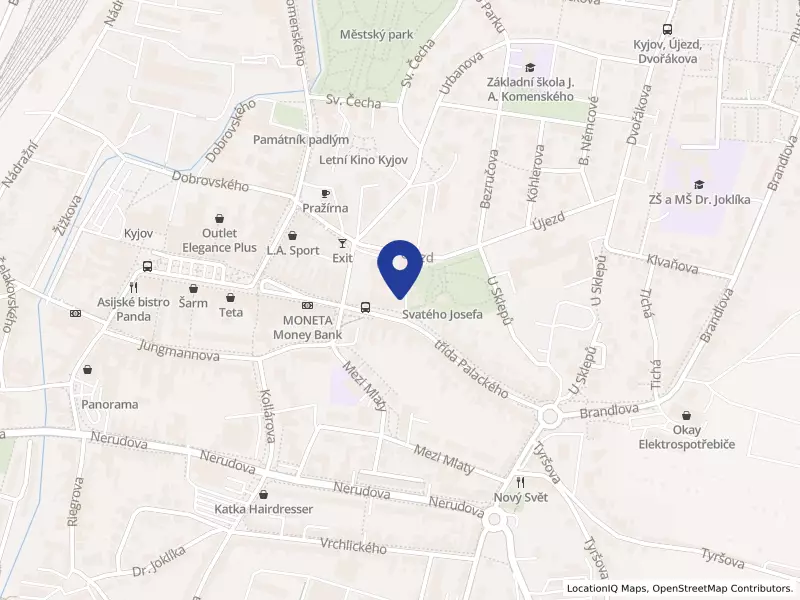 Centrum sociálních služeb Kyjov, příspěvková organizace města Kyjova, třída Palackého 67/7, 69701 Kyjov - Kyjov, IČO 61392979