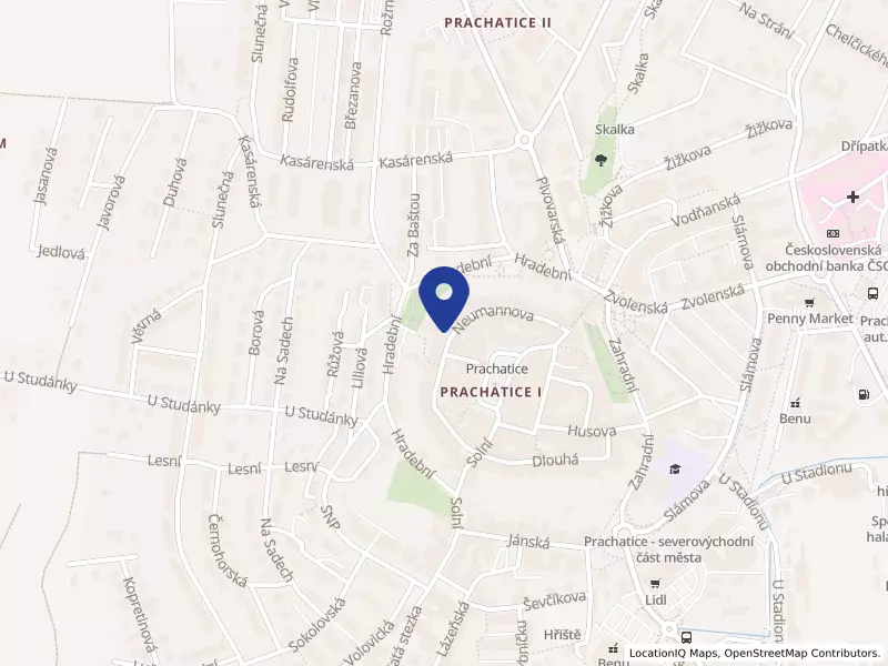 Hospic sv. Jana N. Neumanna, o.p.s., Prachatice, Neumannova 144, 38301 Prachatice - Prachatice I, IČO 70853517