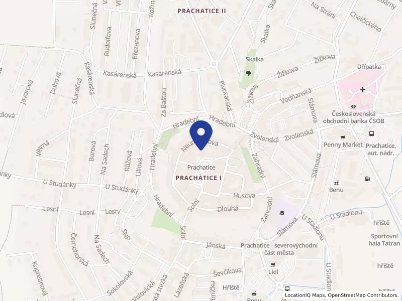 MIRO KEBAB s.r.o., Velké náměstí 9, 38301 Prachatice - Prachatice I, IČO 08539341
