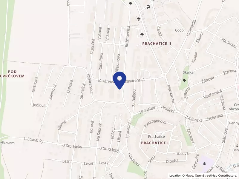 PT PROLES s.r.o., Kasárenská 1147, 38301 Prachatice - Prachatice II, IČO 28147871
