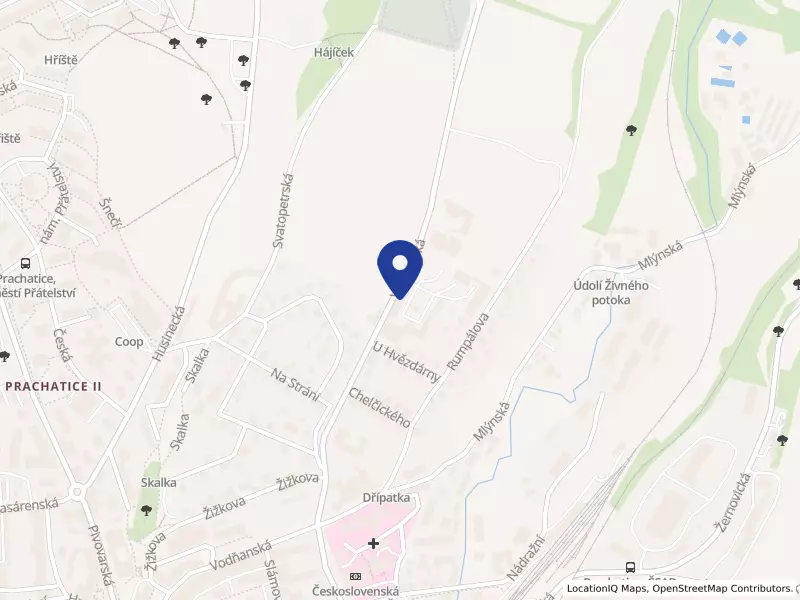 Cobys s.r.o., Vodňanská 333, 38301 Prachatice - Prachatice II, IČO 01556134