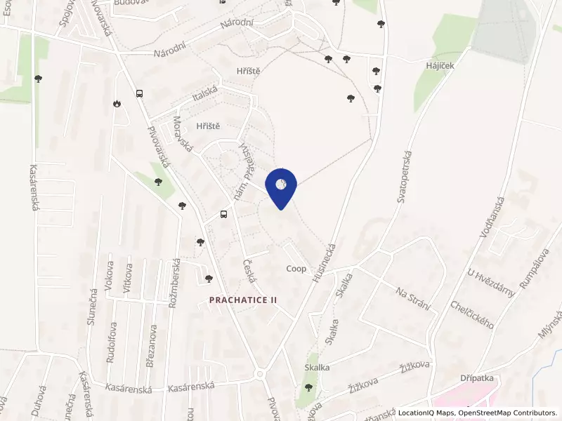 Domov seniorů Mistra Křišťana Prachatice, Bavorská 936, 38301 Prachatice - Prachatice II, IČO 00477109
