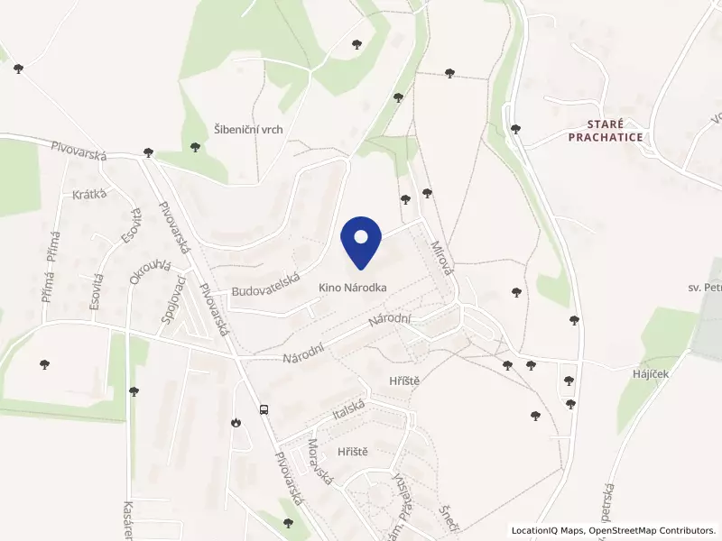 Základní škola a Montessori mateřská škola Prachatice, Národní 1018, Národní 1018, 38301 Prachatice - Prachatice II, IČO 00583278