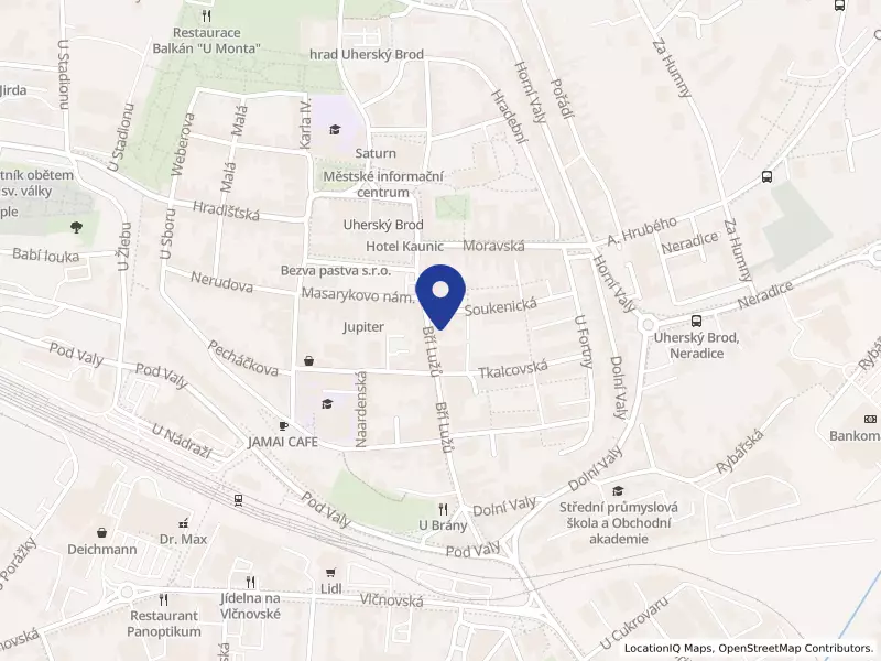 Poliklinika-město, spol. s r.o., Bří Lužů 106, 68801 Uherský Brod - Uherský Brod, IČO 48908983
