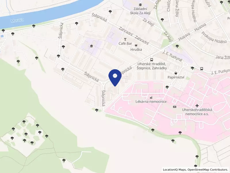Sociální služby Uherské Hradiště, příspěvková organizace, Štěpnická 1139, 68606 Uherské Hradiště - Uherské Hradiště, IČO 00092096