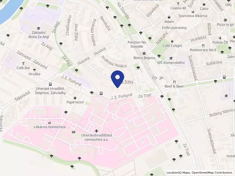 U Dolečka gastro s.r.o., J. E. Purkyně 493, 68606 Uherské Hradiště - Uherské Hradiště, IČO 24979571